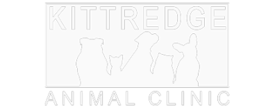 Footer - Kittredge Animal Clinic 1438